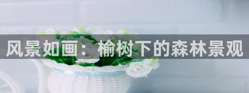 新宝GG—创造奇迹