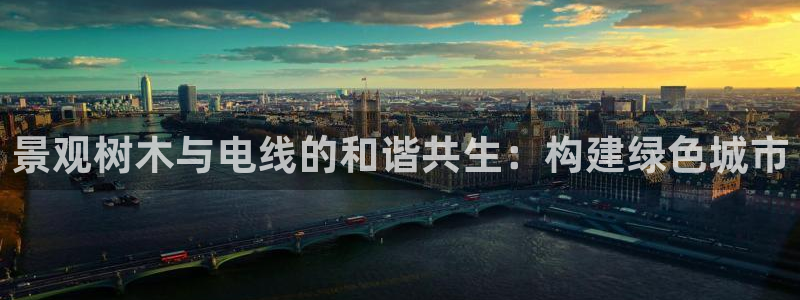 新宝GG无法充值