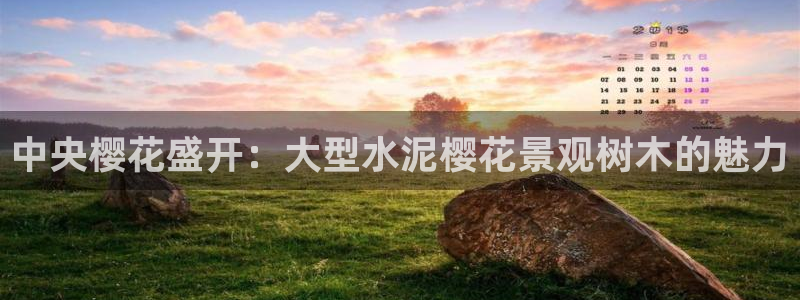 新宝新宝gg开户流程