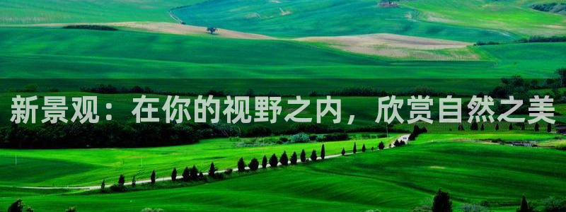 新宝gg真的