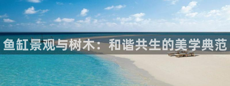 新宝gg创