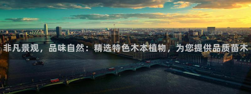 新宝gg真的