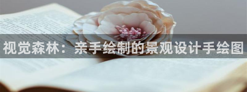 新宝gg是在境外吗