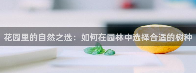 新宝gg娱乐官网