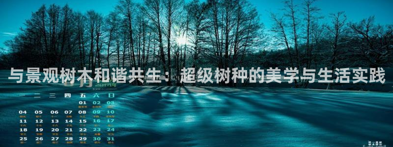 新宝六与新宝gg