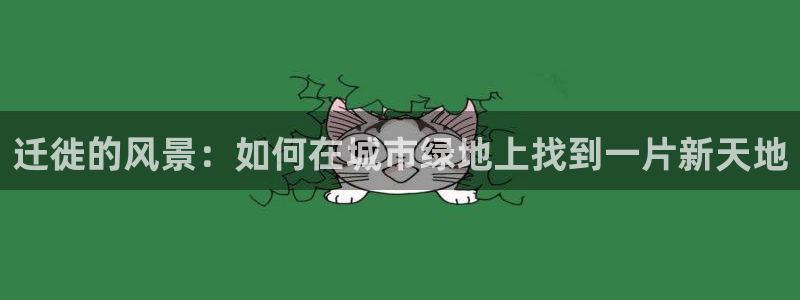 新宝gg样
