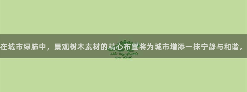 新宝六与新宝gg