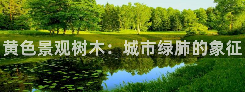 新宝gg招商-299136