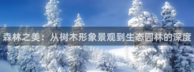 新宝gg主管都是谁