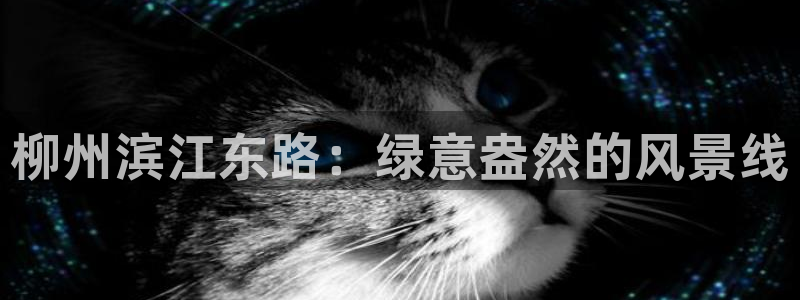 新宝gg娱乐首页