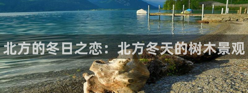 新宝gg娱乐注册-全芏网：北方的冬日之恋：北方冬天的树木景观
