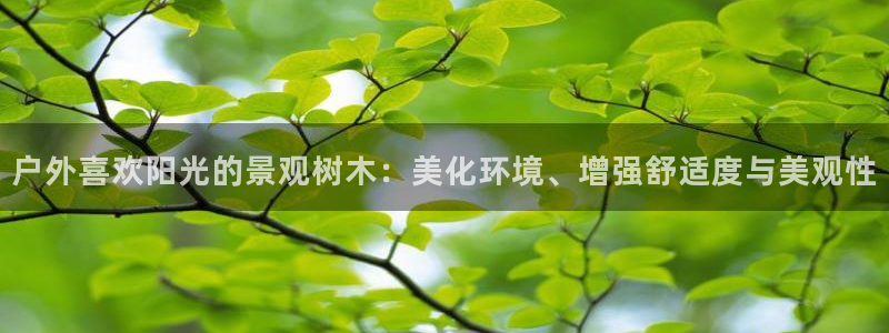 新宝gg娱乐上皇巢网
