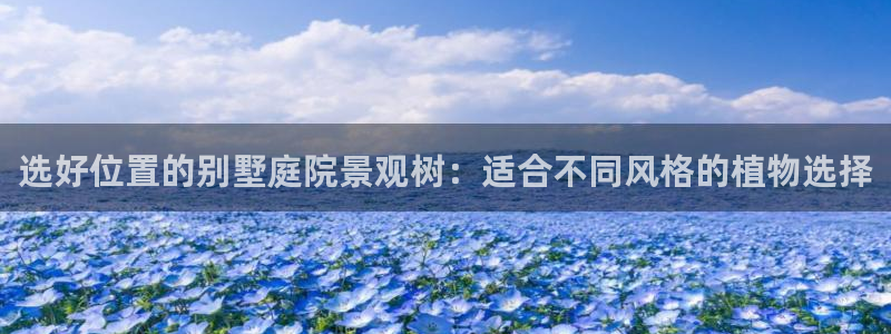 新宝GG管理