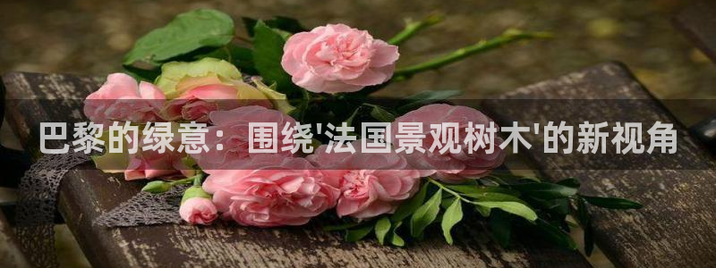 新宝gg重庆