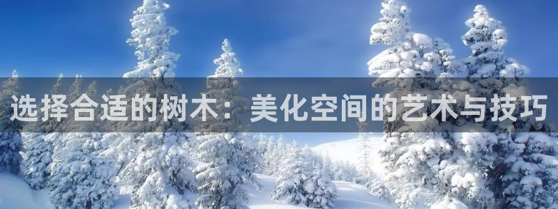 新宝gg注销