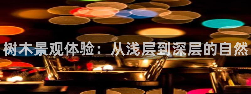 新宝gg推荐