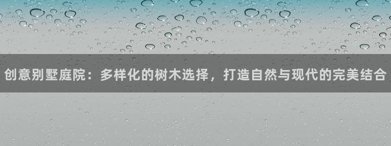 x新宝gg