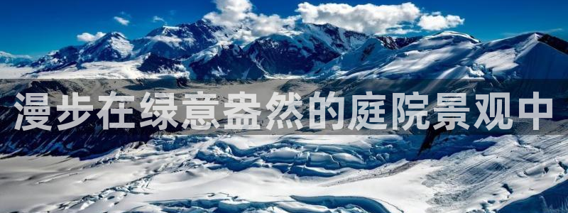 新宝GG手机客户端