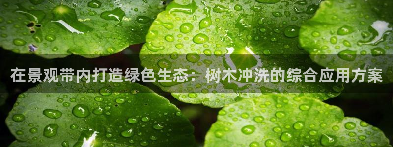 新宝gg开奖结果可信吗