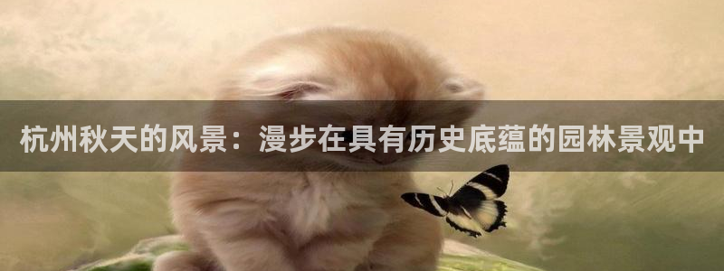 新宝gg客服电话