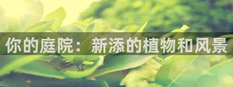 网站新宝GG