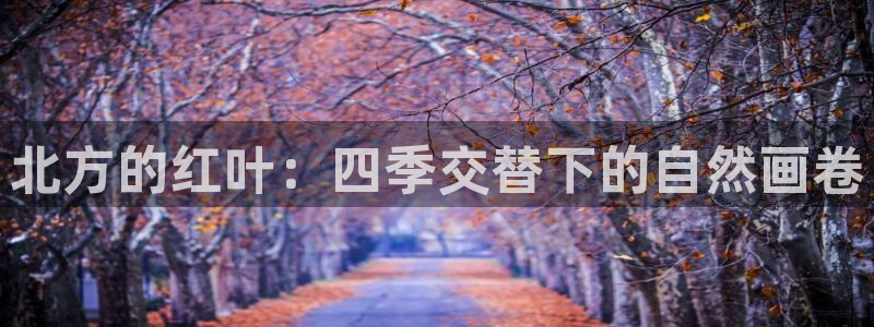 新gg官网_新宝GG创造奇迹