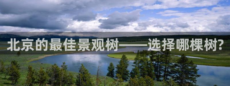 新宝gg 创：北京的最佳景观树——选择哪棵树?