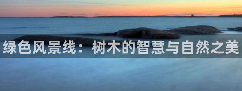 新宝gg__：绿色风景线：树木的智慧与自然之美