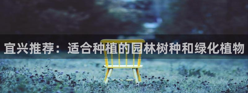 【新宝gg】