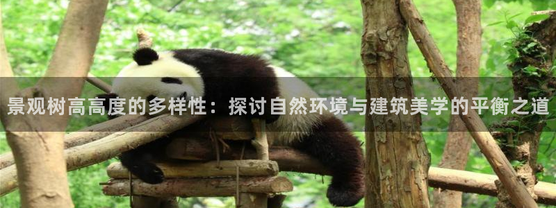 新宝GG网址新宝2