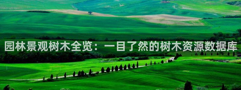 新宝gg平台反水