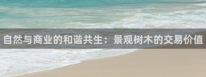 新宝gg创造奇迹登陆