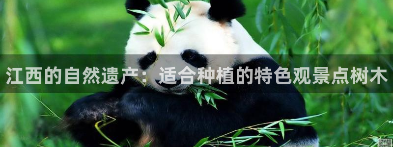 gg新宝时时彩