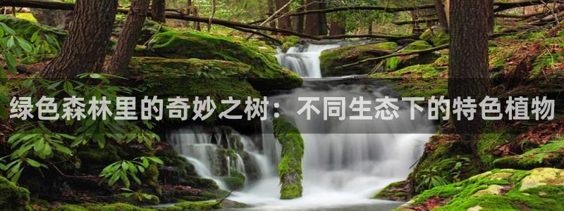 新宝gg返点