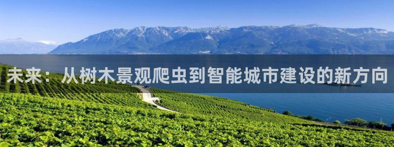 新宝gg怎样