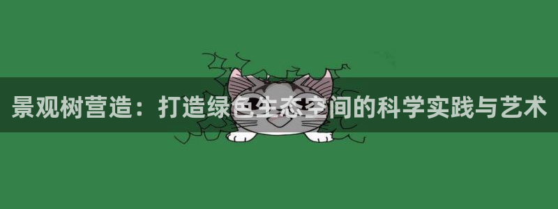 关于新宝GG