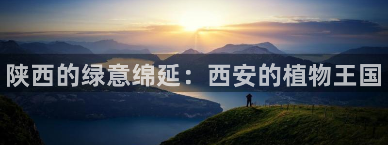 新宝gg直属上级