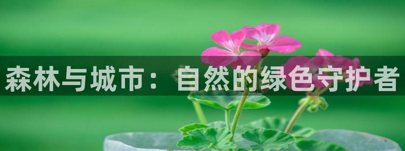 新宝gg地址新宝二