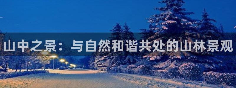 新宝gg创造奇迹登陆