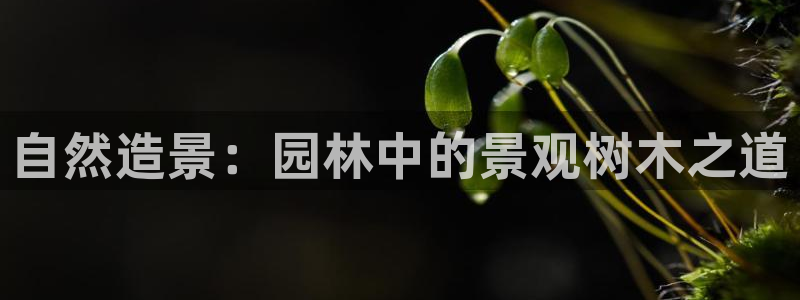 新宝GG娱乐-上皇巢网