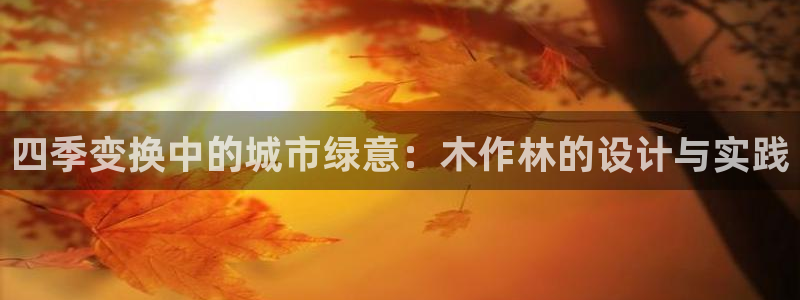 新宝gg 平台怎么样