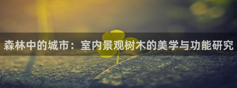 新宝gg 平台怎么样