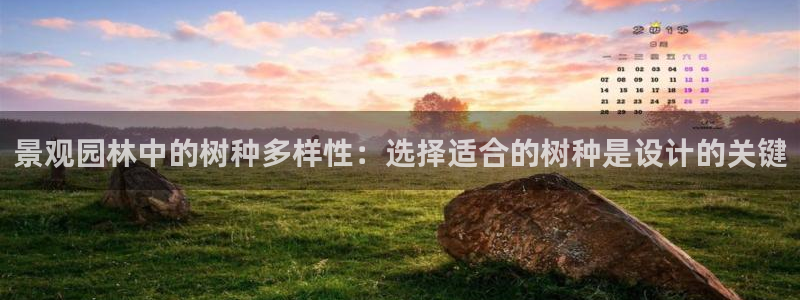 新宝gg如何赚钱