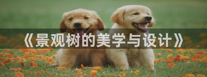 新宝gg官方下载