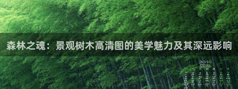 新宝gg娱乐注册全芏网：森林之魂：景观树木高清图的美学魅力及其深远影响