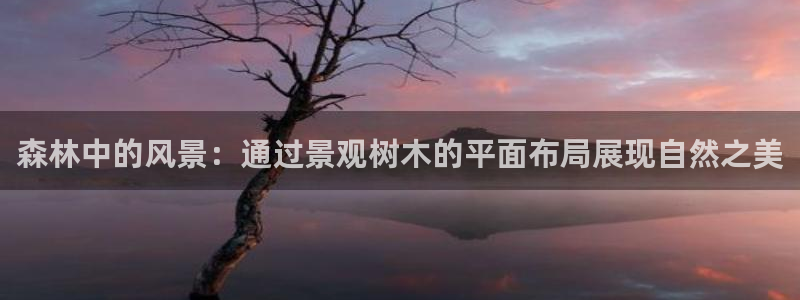新宝gg娱乐客户端下载：森林中的风景：通过景观树木的平面布局展现自然之美