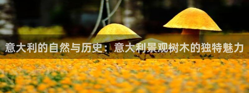 新宝gg创造奇迹平台：意大利的自然与历史：意大利景观树木的独特魅力