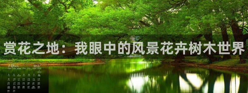 新宝gg申请账号