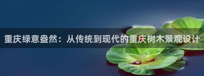 新宝gg开户流程