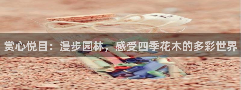 新宝gg娱乐怎么样